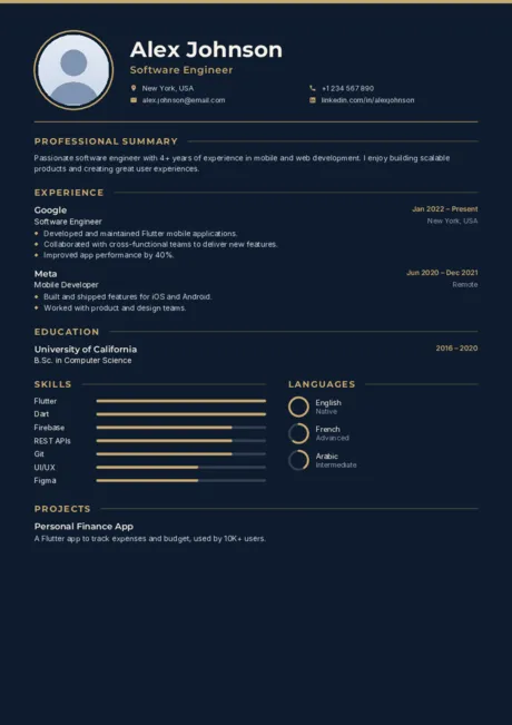 Executive CV template preview