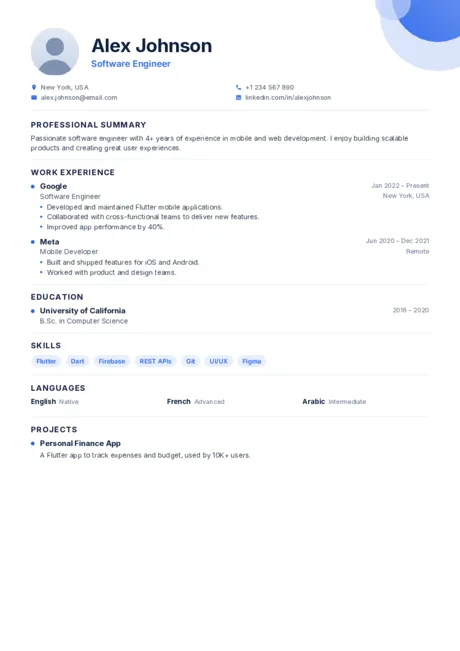Professional CV template preview